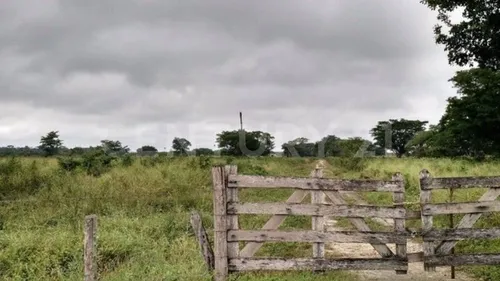 Rancho Agrícola Y Ganadero En Champotón Campeche. 50 Hectareas De Pastizales.