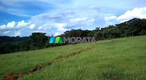Imagem 14 de 15 de Fazenda - Zona Rural - Ref: 5459 - V-mta5459
