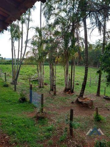 Imagem 4 de 15 de Chácara Com 2 Dormitórios À Venda, 30000 M² Por R$ 500.000,00 - Agua Das Flores - Jataizinho/pr - Ch0155