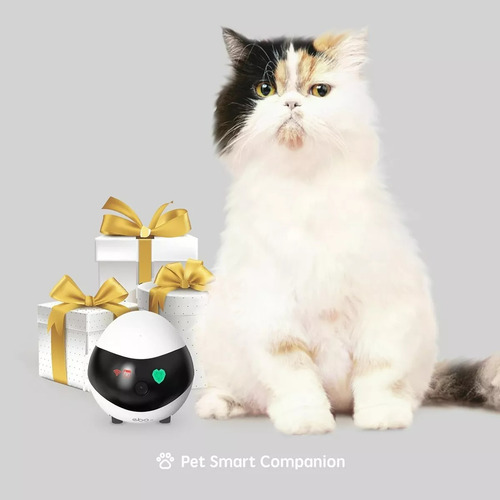 Robo Ebo Se Camera Pet, Voz Visão Noturna Auto Carregamento