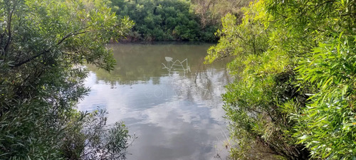 Campo En Carape