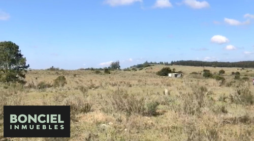 Chacra 5,6 Hectareas Ideal Emprendimiento Turístico