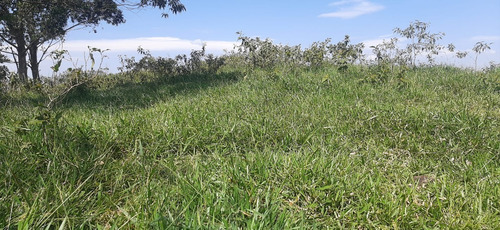 Imagem 6 de 9 de Terrenos/lotes Em Santa Isabel Com Otima Topografia.