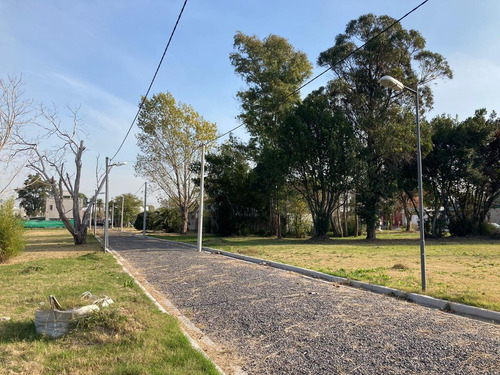 Imagen 6 de 7 de Terreno - La Plata