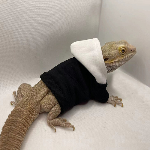 (4 #mold) Ropa Para Dragones Barbudos, Geckos Y Reptiles App