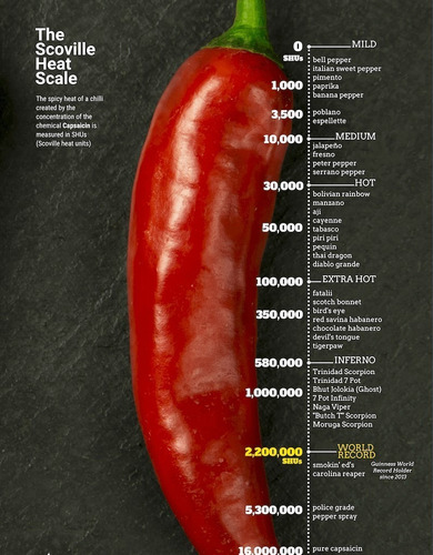 Semillas Pimiento Picante Ají Chili Serrano X Sobre Huerta