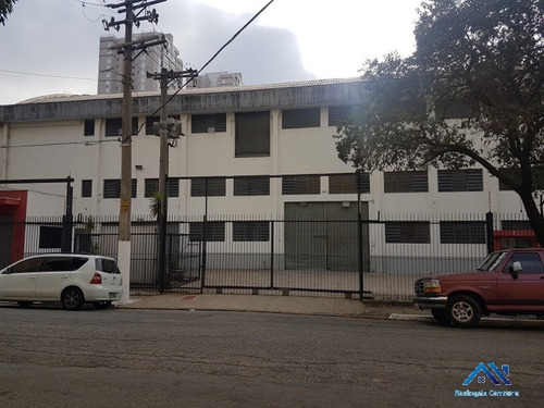 Imagem 8 de 11 de Galpão - Gl00031 - 68828153