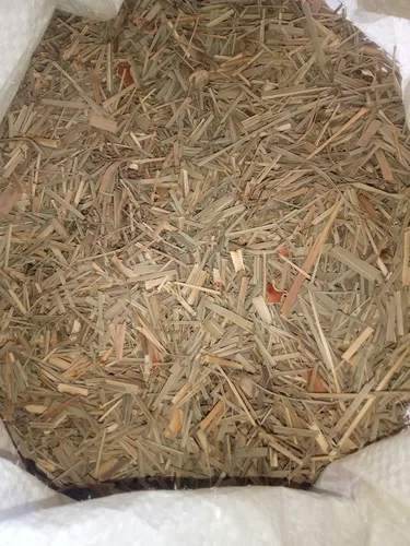 Malojillo Orgánico