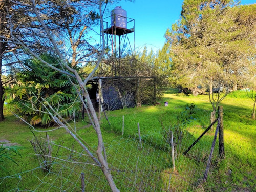 Imagen 16 de 29 de Chacra Con Vivienda