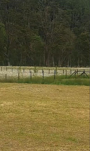 Sitio En Venta En Puerto Varas En Riberas Del Maullin