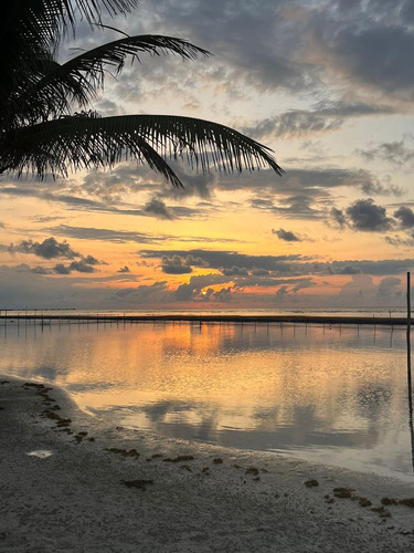 Hotel En Quintana Roo