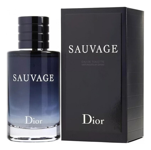 Dior Sauvage Masculino Eau De Toilette 100ml