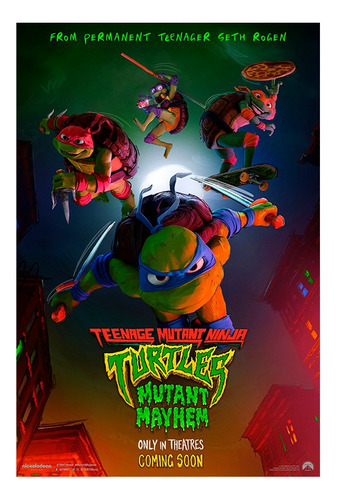 Poster De Las Tortugas Ninja Adolcentes Mutantes