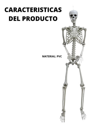 Imagen 6 de 9 de Decoracion Esqueleto Halloween 1.85 Mts Extremidades Moviles