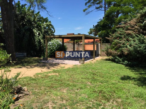 Imagen 8 de 12 de Muy Buena Zona