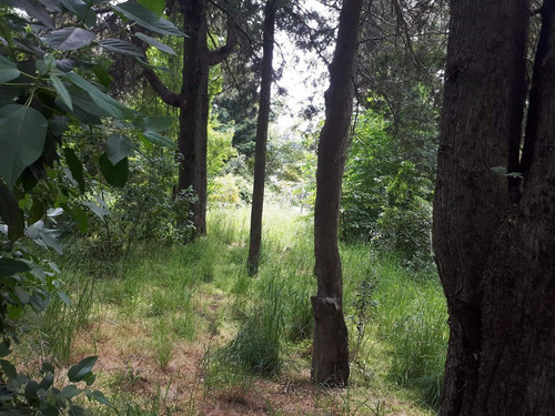 Imagen 14 de 18 de Terreno - Cerro Runge