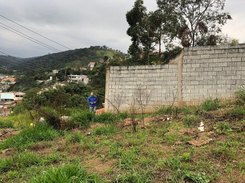 Imagem 16 de 16 de Terreno À Venda, 250 M² - Jardim Nossa Senhora Aparecida - Francisco Morato/sp - Te0034 - 67733520
