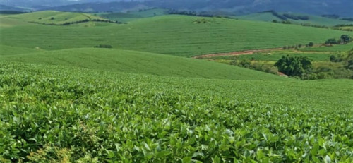 Fazenda A Venda No Sul De Minas Com 470 Ha - Bcp93
