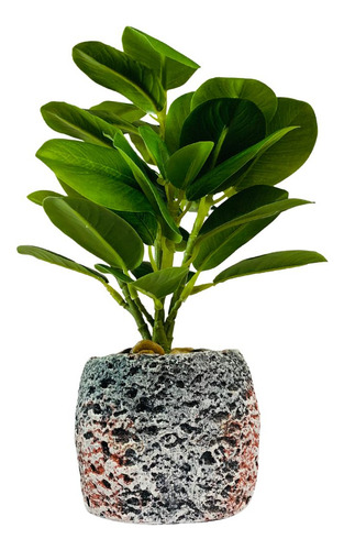 Arranjo De Flor Artificial Peperômia Sortido 28cm - Vencedor