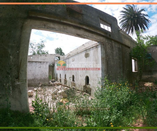 Imagen 10 de 25 de Chacra 3 Has En Melilla, Zona Uam, Cno Polvorin, Construcciones A Reciclar.