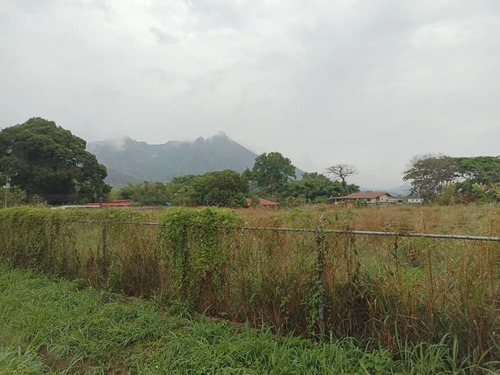 Venta De Terreno Comercial Residencial San Diego Agua De Canto Angel Tovar