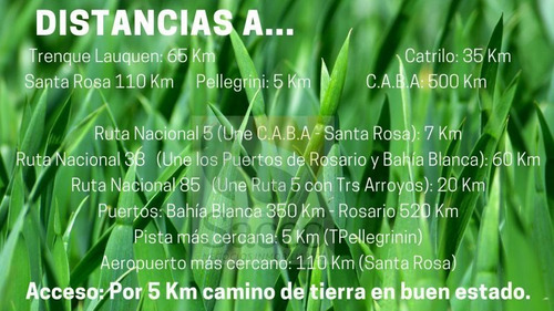 Imagen 12 de 14 de Campo Agrícola Ganadero En Venta En #pellegrini