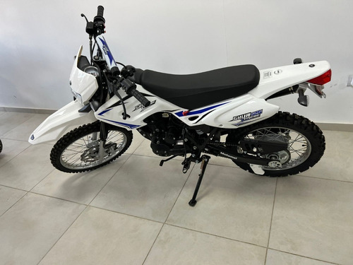 Imagen 6 de 16 de Motomel Skua 125 Xtreme