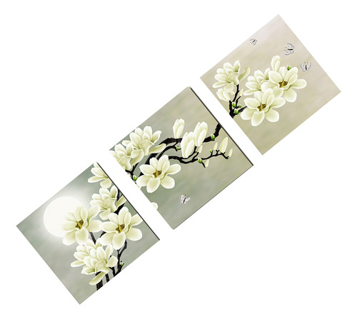 Arte De Impresión Pictrues 40cm Orquídea Blanca