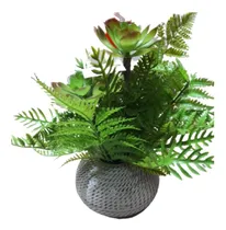 Comprar Cactus Y Suculentas Artificiales En Macetita Plantas