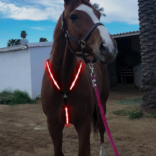 Cuello De La Armadura Del Caballo Led, Brida De Caballo De