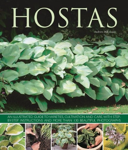 Hostas An Illustrated Guide To Varieties, Cultivation And Ca