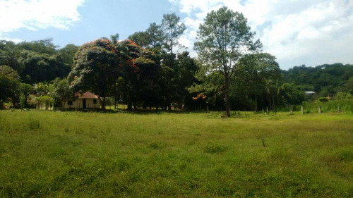 Imagem 8 de 23 de Chácara Residencial À Venda, Penhinha, Arujá - Ch0041. - Ch0042