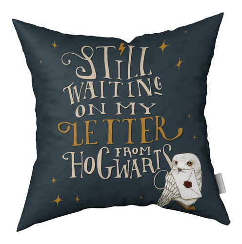 Imagen 2 de 3 de Combo Almohadones Almohadón Harry Potter Vellon Desmontable