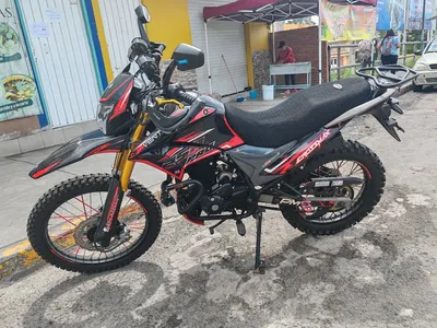 Vento 2022