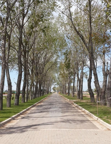 Imagen 5 de 30 de Terreno Lote En Venta Ubicado En La Alameda, Canning, Ezeiza