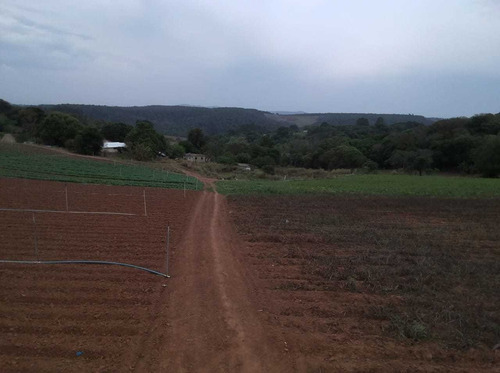 Imagem 5 de 14 de N31- Atibaia Terrenos Plano