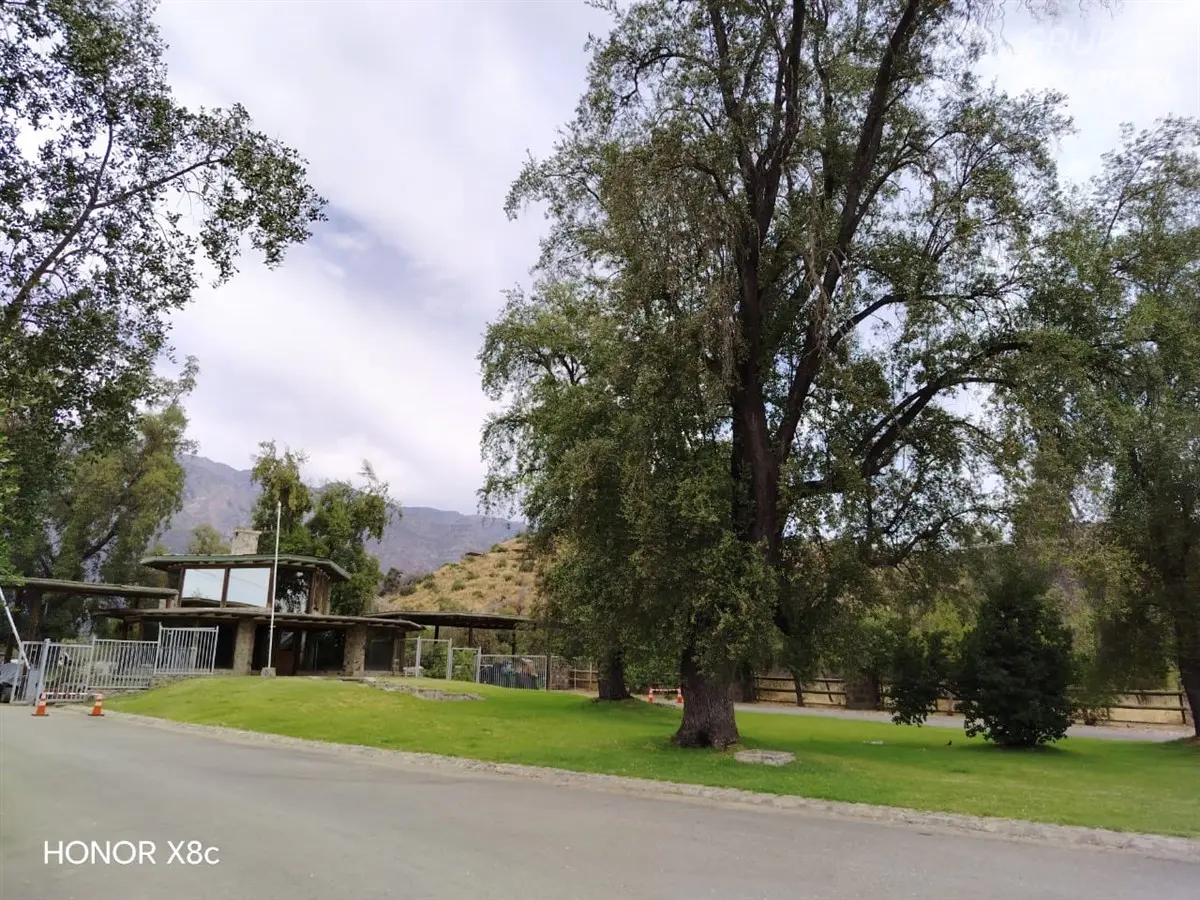 Imagen 2 de 15 de Arriendo Casa En Laguna De Aculeo