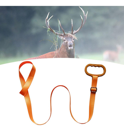 . Suministros For Exteriores Regalo Naranja
