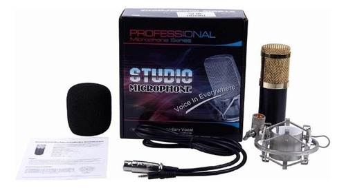 Micrófono Condensador Home Studio Bm-700 Pc / Lhua Store