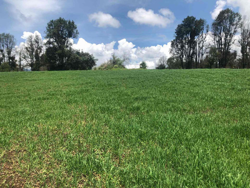 Imagen 6 de 13 de Gran Oportunidad Terreno Arenal Para Rancho