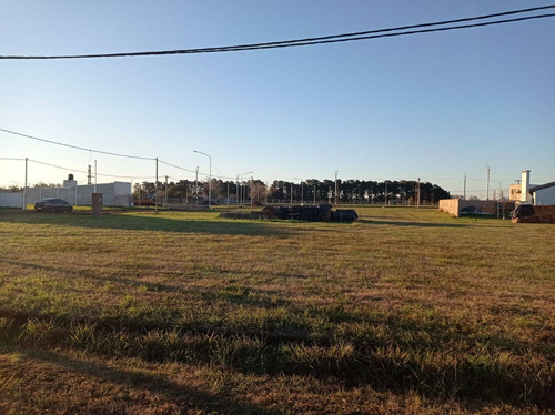 Imagen 3 de 5 de Lotes En Humboldt
