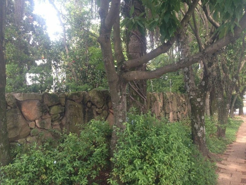 Imagem 3 de 30 de Casa - Ca2392 - 4695573