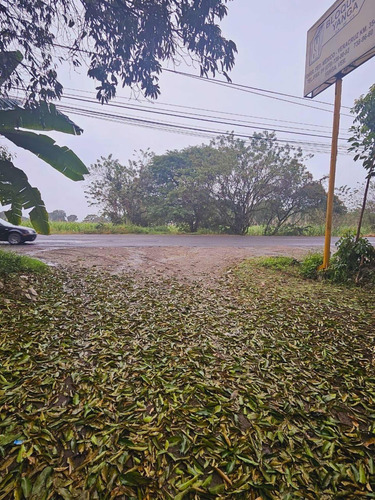 Venta De Terreno A Pie De Carretera En Yanga Veracruz