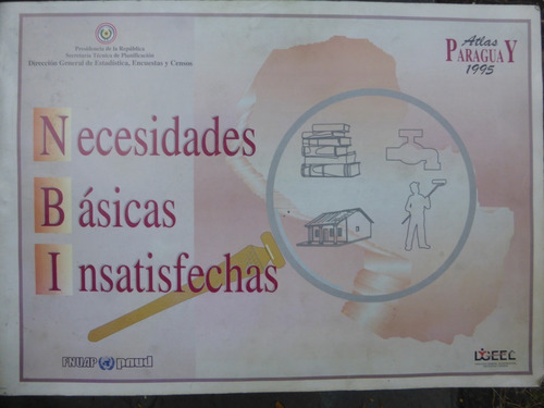 Necesidades Basicas Insatisfechas - D.g.e.e.yc. - Paraguay