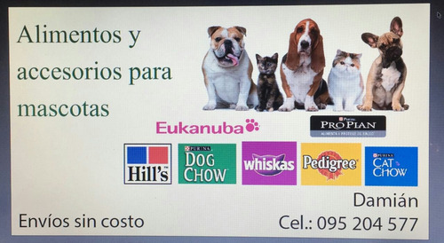 Alimentos Y Accesorio Para Mascotas