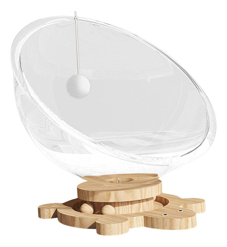Cama Para Gatos En Cápsula Transparente, Cama Para L