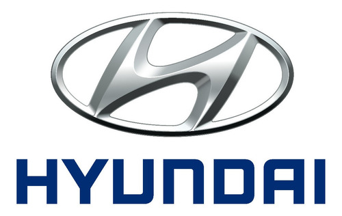 Imagen 2 de 4 de Optico Hyundai Santa Fe 2001 A 2007 Derecho + Izquierdo