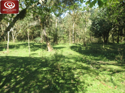 Chácara Para Venda - 1316070