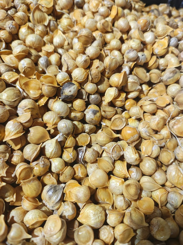 Ajo Japones 2 Kg