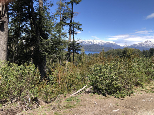 Terreno En  Villa La Angostura - Neuquen - Patagonia